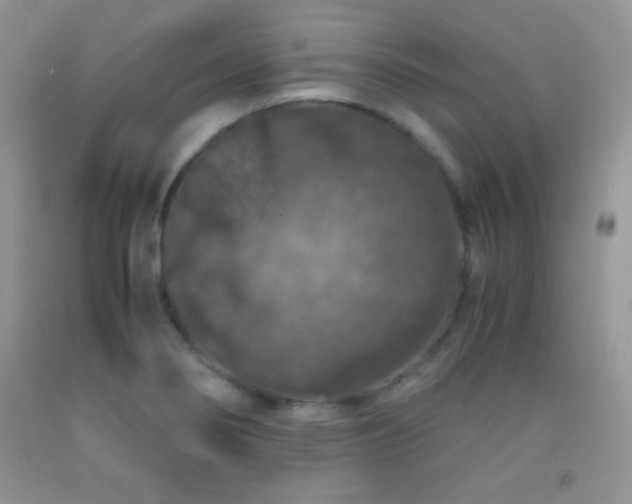 X0000092291274200709141252