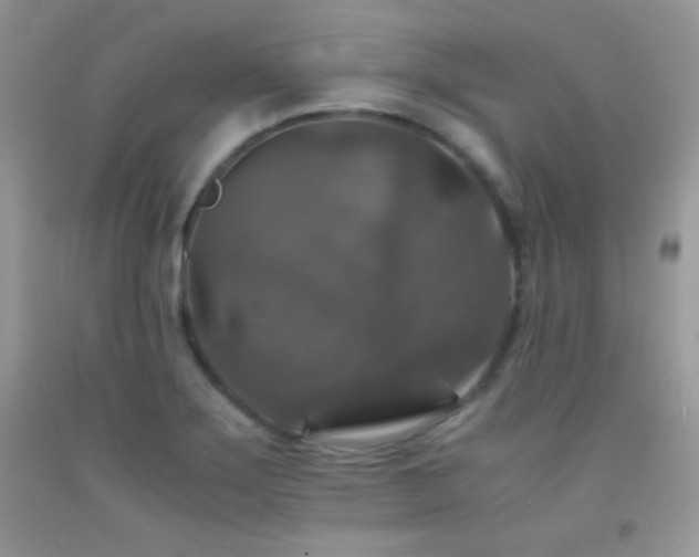 X0000092291275200709141252