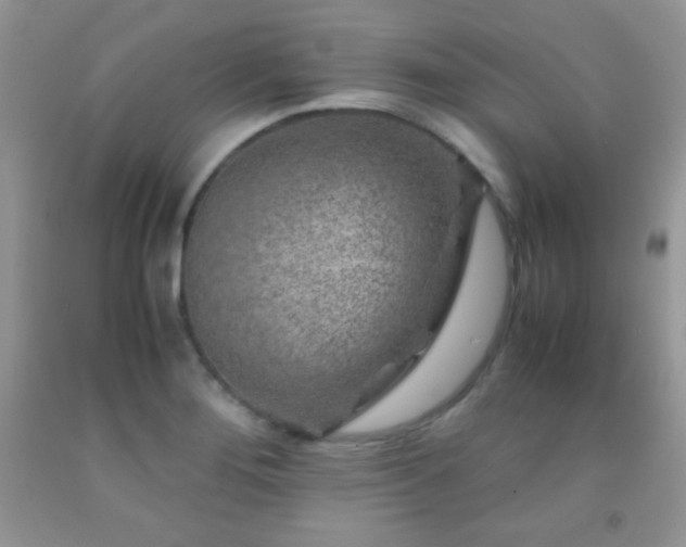 X0000092291276200709141252