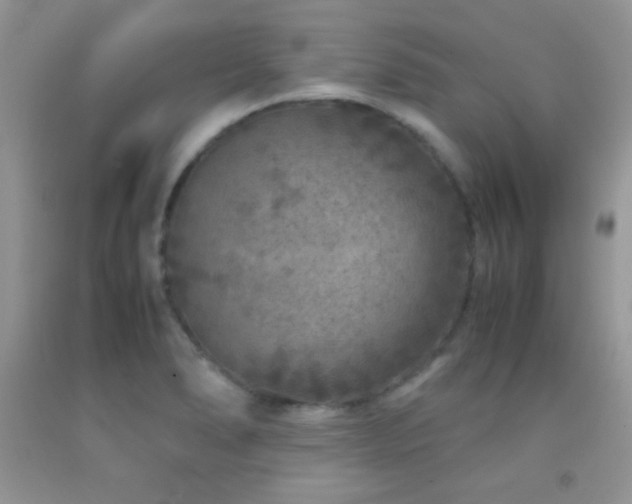 X0000092291278200709141252