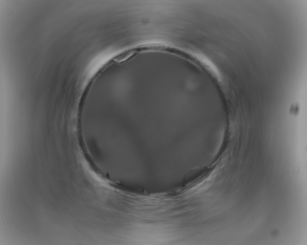 X0000092291279200709141252