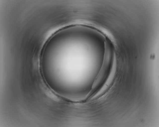 X0000092291280200709141252