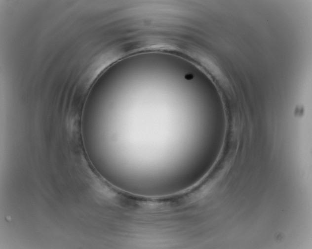 X0000092291281200709141252