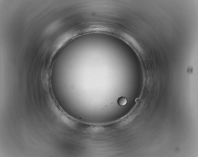 X0000092291282200709141252