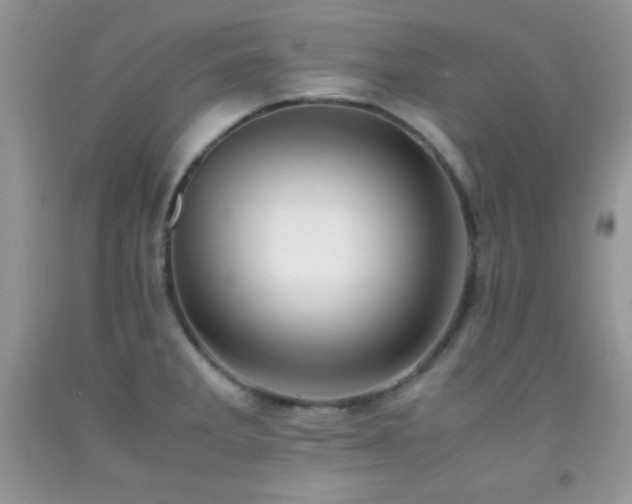 X0000092291285200709141252