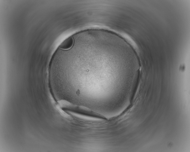 X0000092291287200709141252