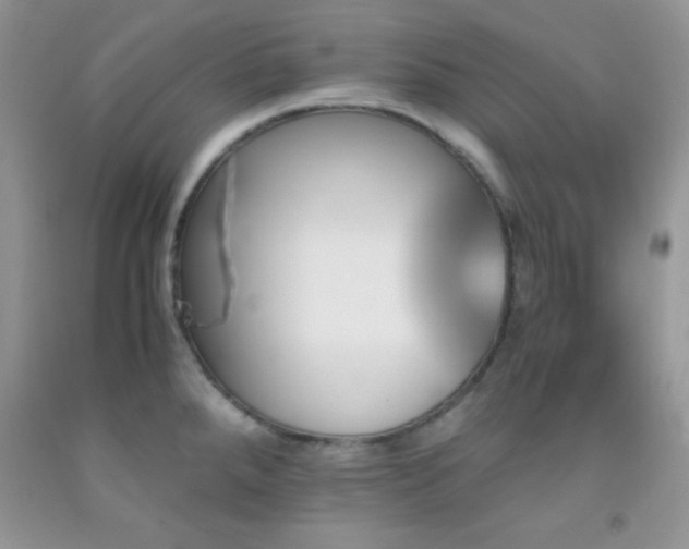 X0000092291288200709141252