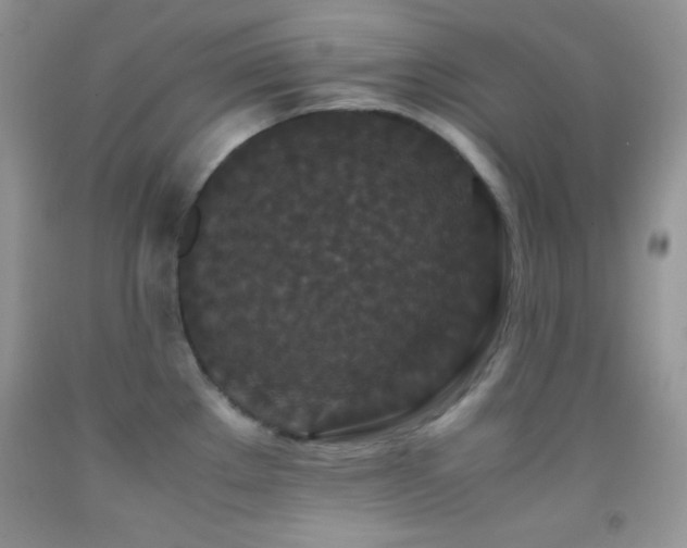 X0000092291289200709141252