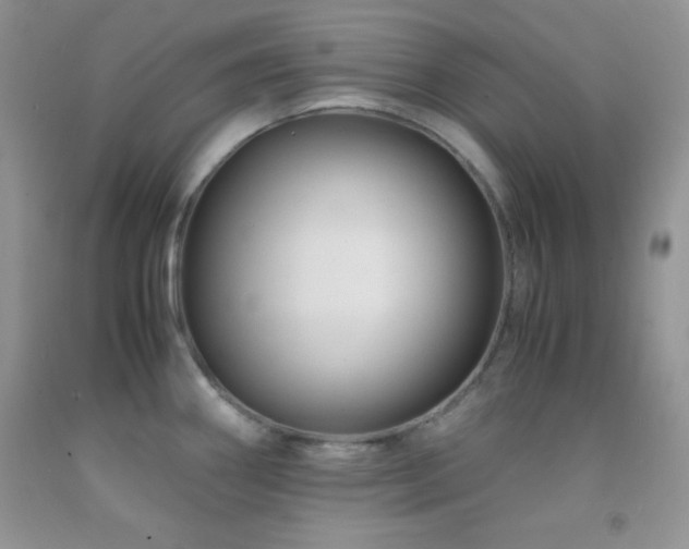 X0000092291290200709141252