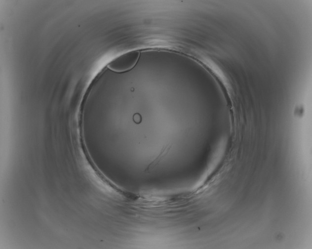 X0000092291291200709141252