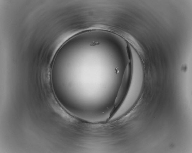 X0000092291292200709141252