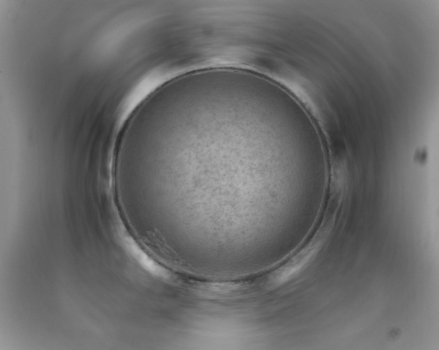 X0000092291294200709141252