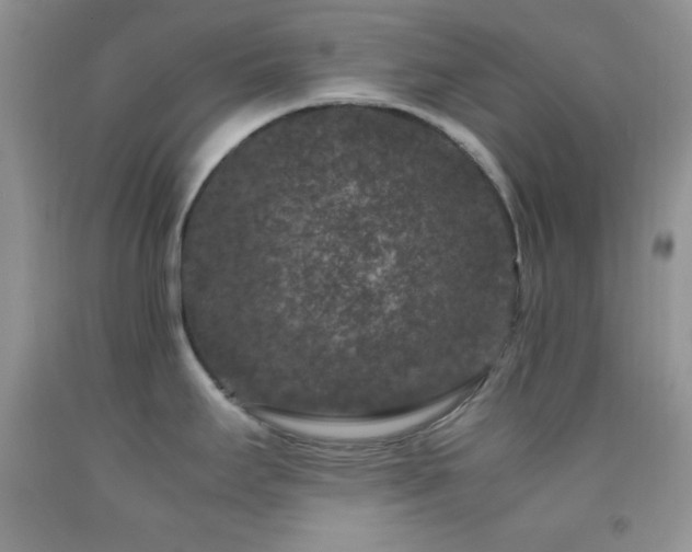 X0000092291295200709141252