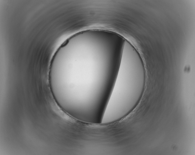 X0000092291296200709141252