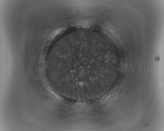 X0000092291297200709141251
