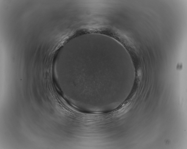 X0000092291300200709141251