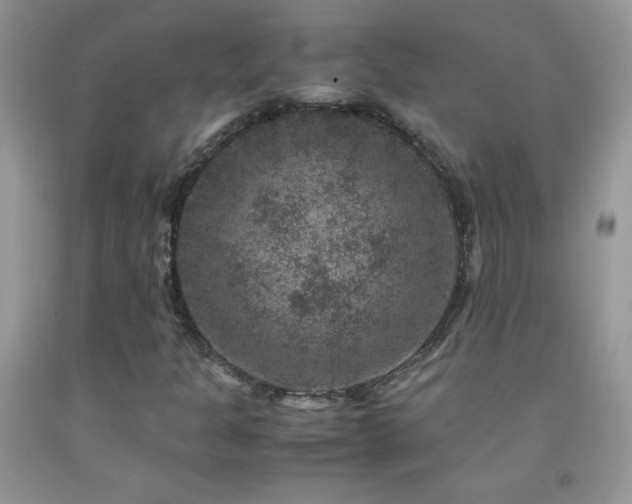 X0000092291301200709141251