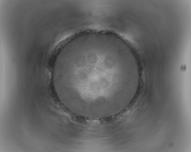 X0000092291302200709141251