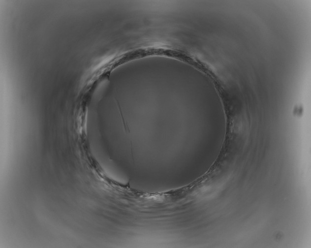 X0000092291303200709141251