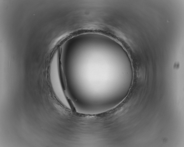 X0000092291304200709141251