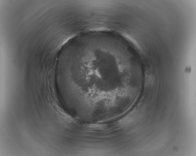 X0000092291305200709141251