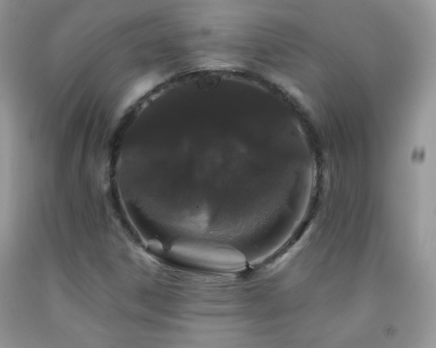 X0000092291306200709141251