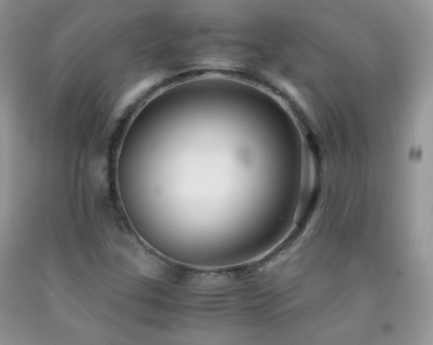 X0000092291307200709141251