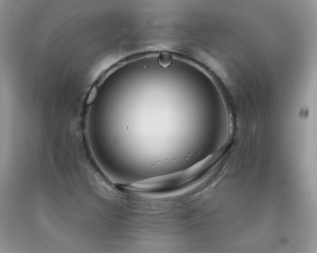 X0000092291308200709141251