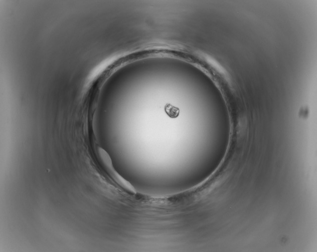X0000092291310200709141251