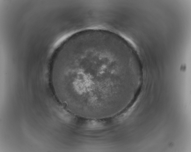 X0000092291311200709141252
