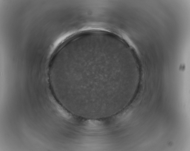 X0000092291312200709141252