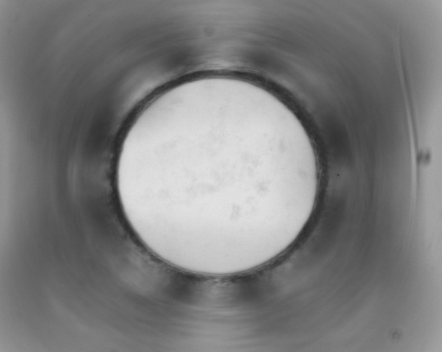 X0000092291314200709141252