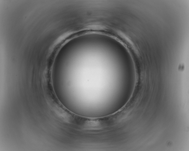X0000092291315200709141252