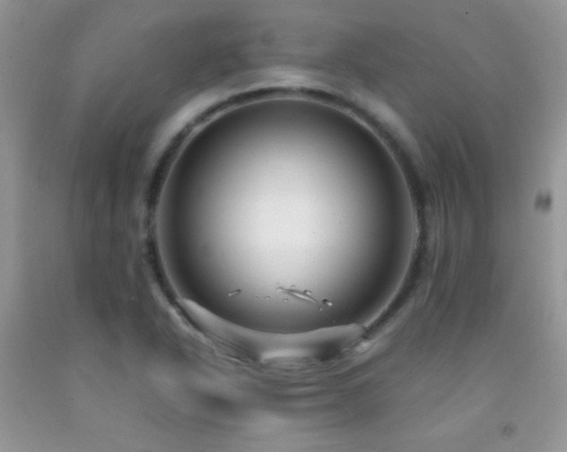 X0000092291318200709141252