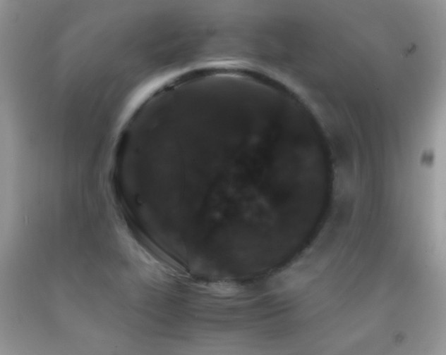 X0000092291319200709141252