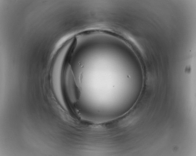 X0000092291320200709141252