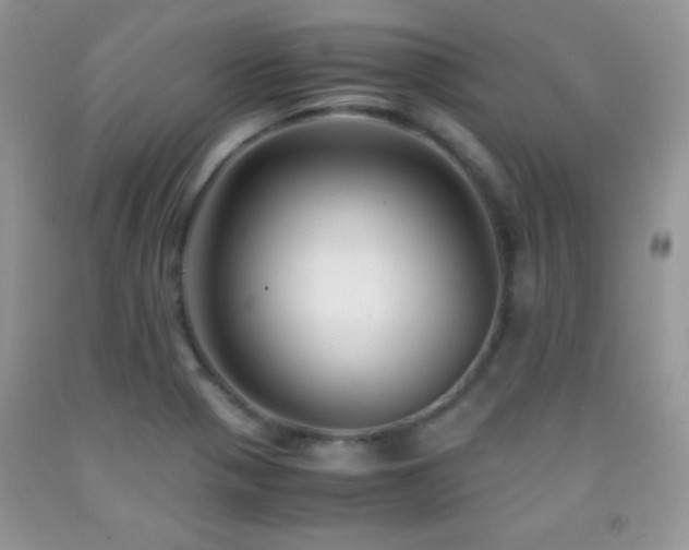 X0000092291321200709141252