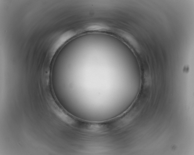 X0000092291322200709141252