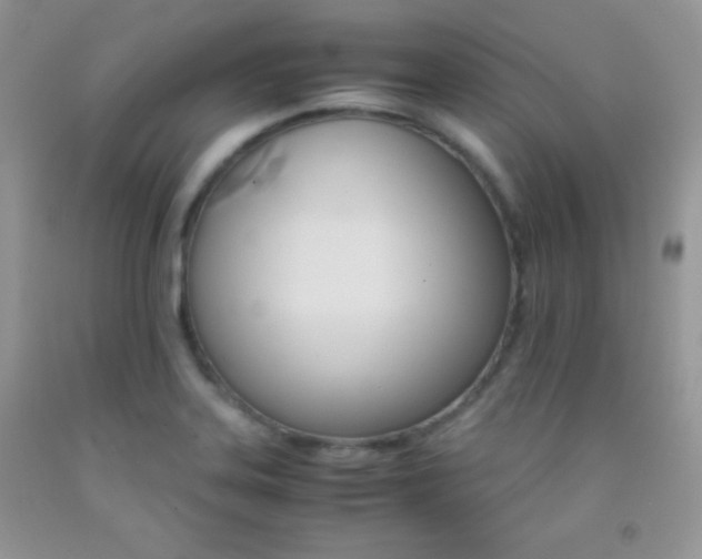 X0000092291323200709141252