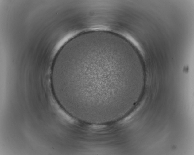 X0000092291325200709141252
