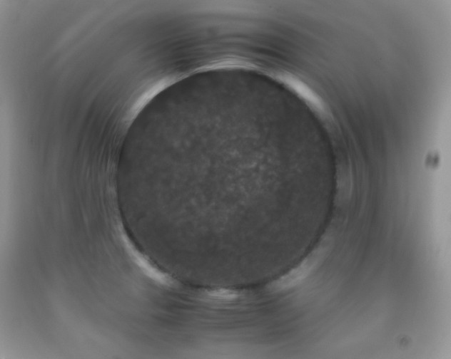 X0000092291329200709141252