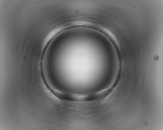 X0000092291330200709141252