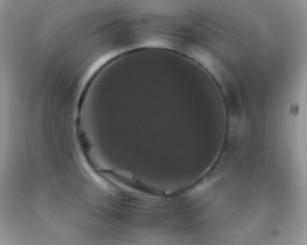X0000092291331200709141252
