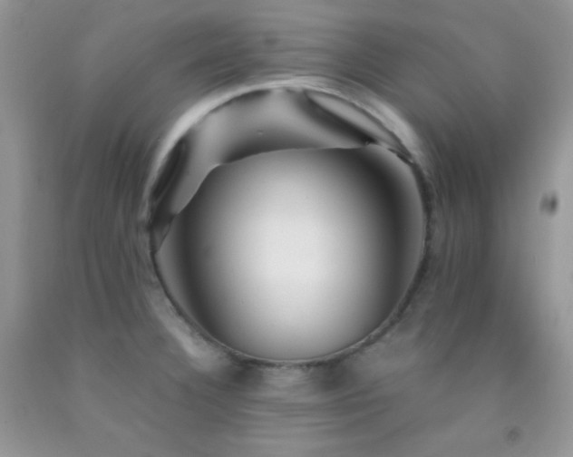 X0000092291332200709141252