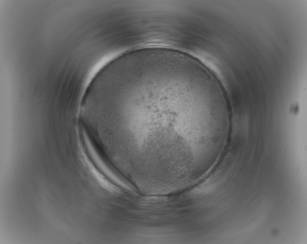 X0000092291333200709141252