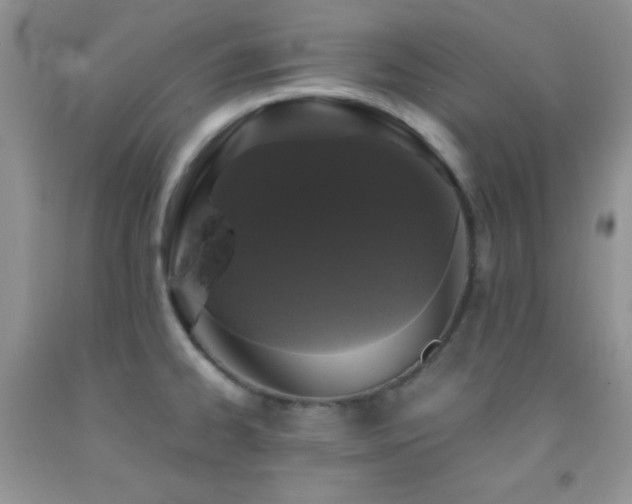 X0000092291334200709141252