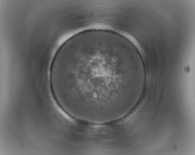 X0000092291335200709141252