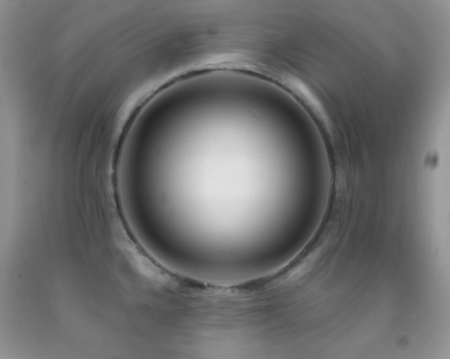 X0000092291336200709141252