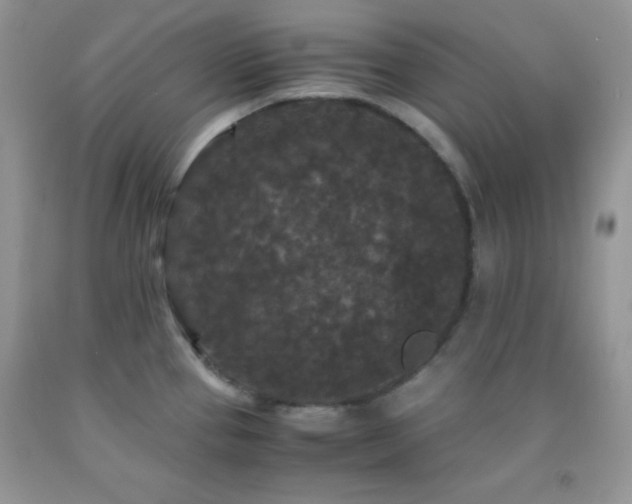 X0000092291337200709141252