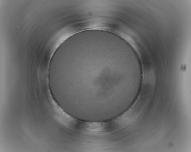 X0000092291338200709141252
